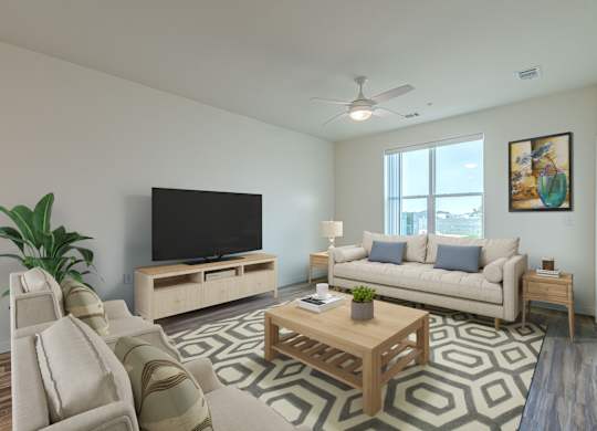 A living room with a television, couch, and a plant.