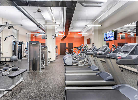 A gym with treadmills, weights, and exercise equipment.