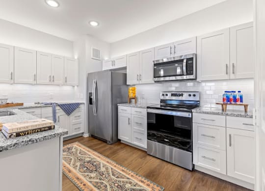 Stainless Steel Appliances at Mariposa at Harris Road Arlington 55+ Apartments, Texas