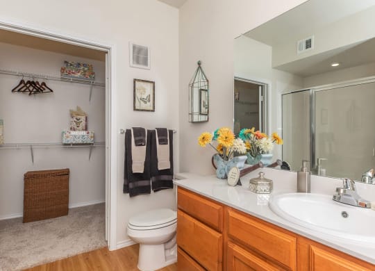 Luxurious Bathroom at Mariposa at Clear Creek Webster 55+ Apartments, Texas, 77598