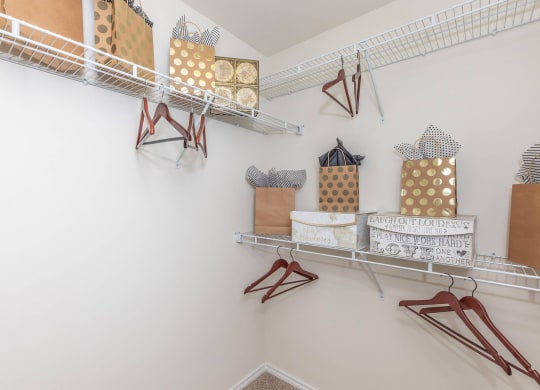 Closet at Mariposa at Clear Creek Webster 55+ Apartments, Webster, TX 77598