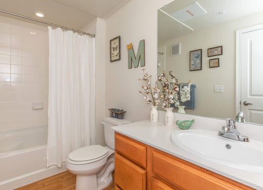 Bathroom With Bathtub at Mariposa at Clear Creek Webster 55+ Apartments, Texas