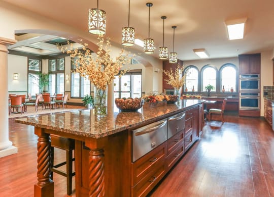 Community Clubhouse at Mariposa at Clear Creek Webster 55+ Apartments, Texas, 77598