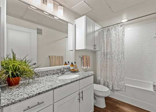 a bathroom with a sink and a toilet and a shower at Cypress Creek at River Oaks, Texas