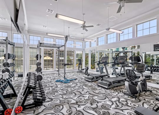 a gym with weights and cardio equipment and windows at Cypress Creek at River Oaks, Texas, 75165