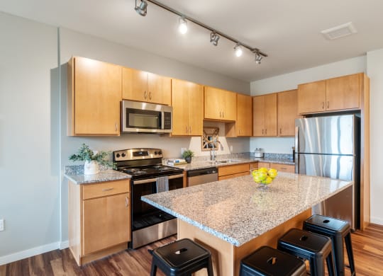 Model Apt Kitchen at Orville Commons, Woodbury, 55129