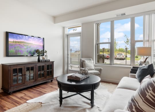 Model Apt Living Room at Orville Commons, Minnesota