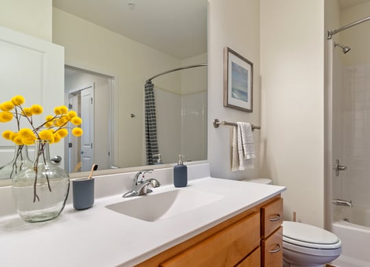 Bathroom With Bathtub at Orville Commons, Woodbury, 55129