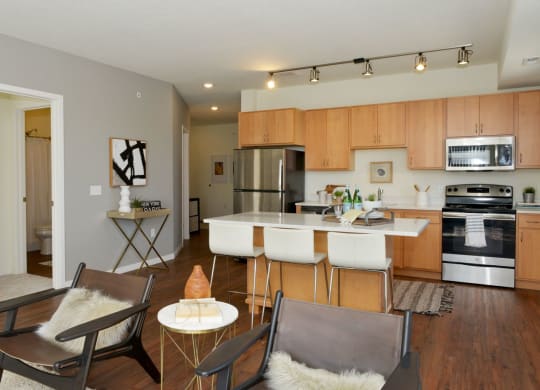 Kitchen Appliances and cabinets at 1500 Nicollet Apartment Homes, Minneapolis, Minnesota