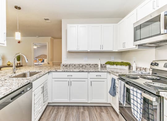 Model Kitchen at Alexander at Stonecrest Apartments, Lithonia, GA
