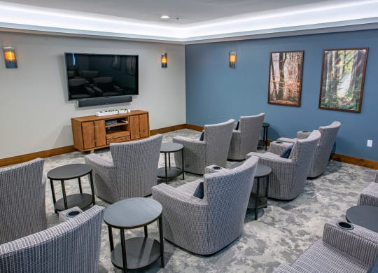 Theater Room
