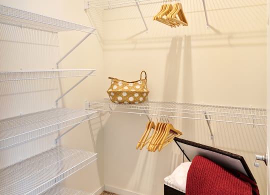 Large Closet at The Bluffs at Liberty Glen, St. Cloud, 56304 