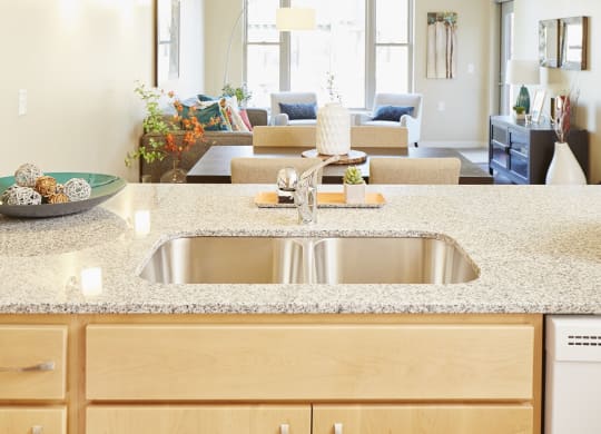 Kitchen and Living Room at The Cambric Senior Apartments, St. Paul Minnesota