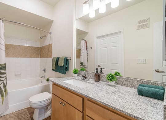 Luxurious Bathroom at Capitol Crossing, Austin
