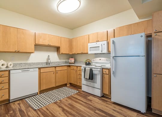 Kitchen Appliances at Capitol Crossing, Texas