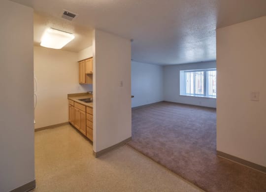 Castlewoods_Apartment Living Room