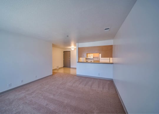 Castlewoods_Apartment Living Room