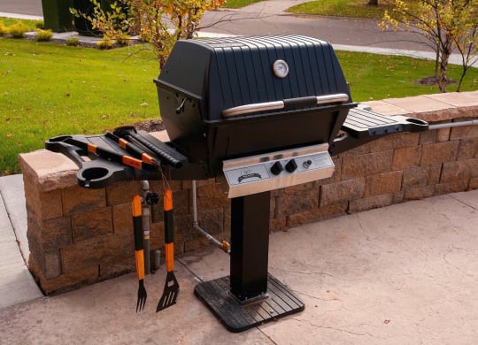 Grill Stations at The Cavanagh 55+ Apartments, Crystal