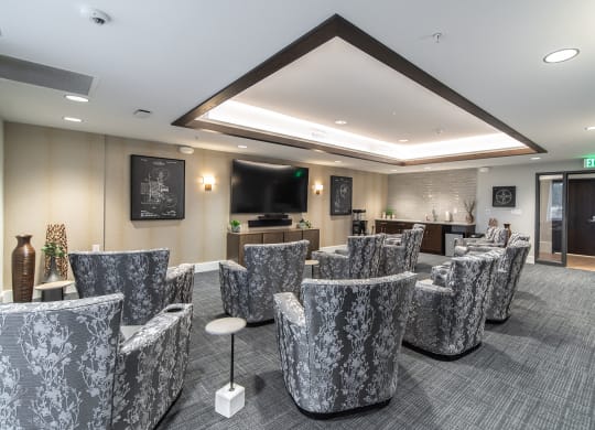 Dominium-Centennial Crossings-Theater Room