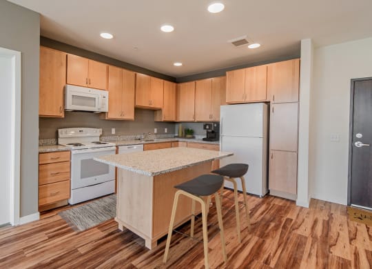 Dominium-Centennial Crossings-Virtually Staged Kitchen
