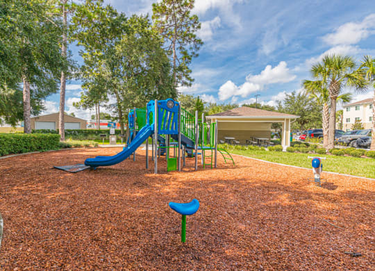 Dominium-Chapel Trace-Playground