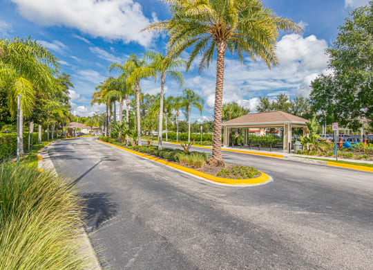 Dominium-Chapel Trace-Property Entrance