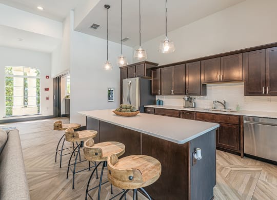 Dominium-Chapel Trace-Community Kitchen