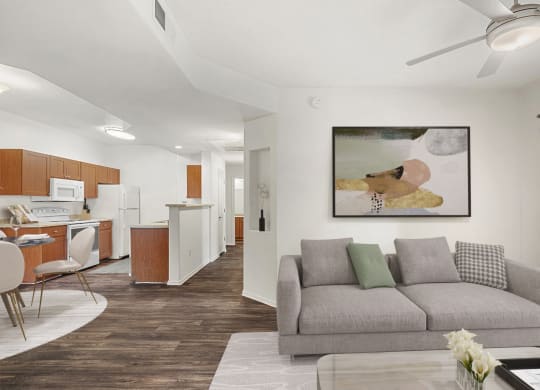 Dominium-Copper Cove-Virtually Staged Apt Overview