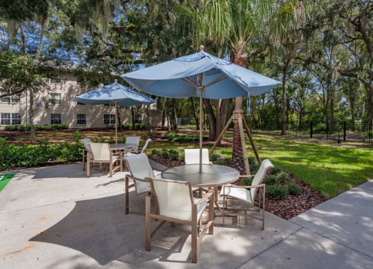 Picnic Area