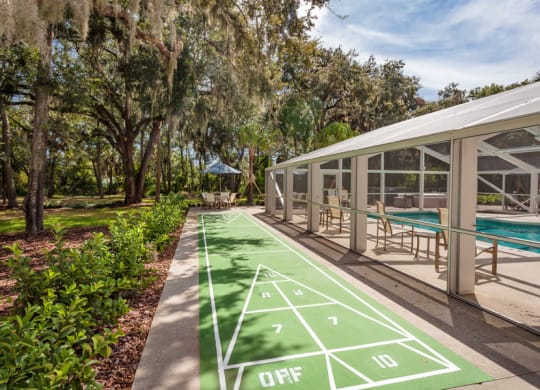 Shuffleboard