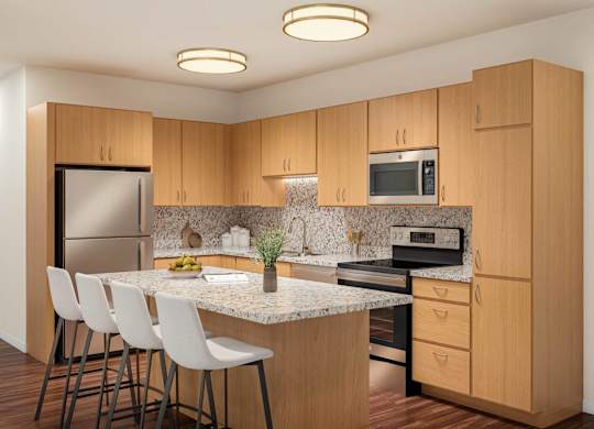dominium-emblem at tower-emblem at tower, tx-interior-view07-kitchen.jpg