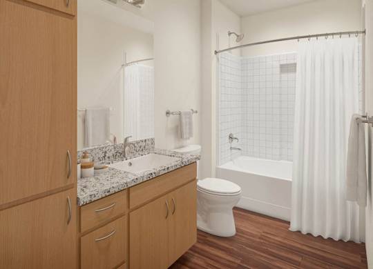 dominium-emblem at tower-emblem at tower, tx-interior-view10-bathroom.jpg