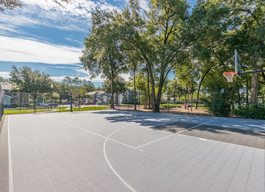 Dominium-Enclave at Pine Oaks-Basketball Court