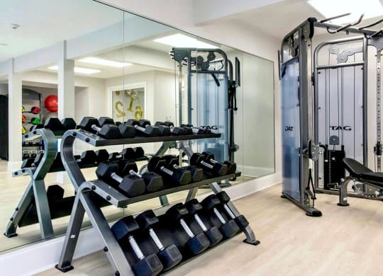 Dominium-Fulton Pointe-Fitness Center