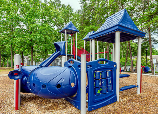 Dominium-Fulton Pointe-Playground