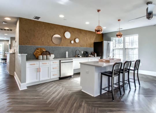 Dominium-Fulton Pointe-Community Kitchen