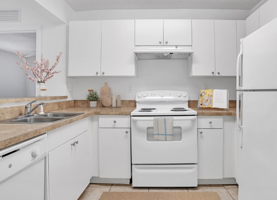 Dominium-Groves of Delray-Virtually Staged Kitchen