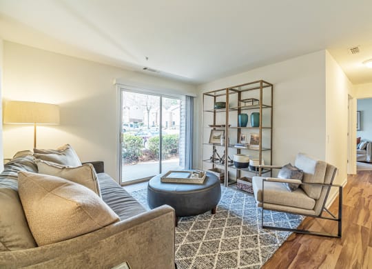 Living Room Interior at Groves of Lawrenceville, Lawrenceville, GA 30046