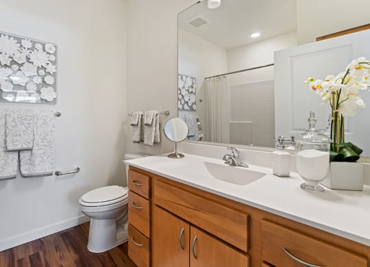 Luxurious Bathroom at Harbor at Twin Lakes 55+ Apartments, Roseville, Minnesota