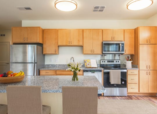Fully Furnished Kitchen at Haven at Congaree Pointe 55+ Apartments, Columbia South Carolina