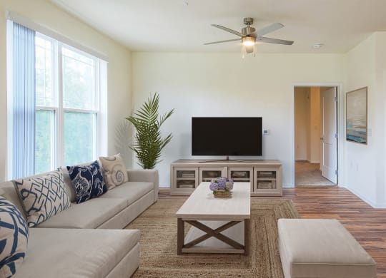 Living Room With TV at Haven at Congaree Pointe 55+ Apartments, South Carolina, 29209