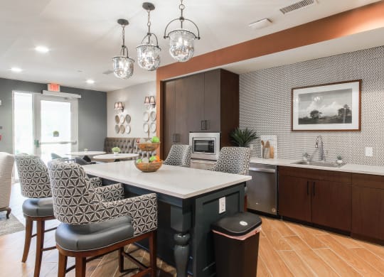 Gourmet Kitchen at Haven at Congaree Pointe 55+ Apartments, Columbia, 29209
