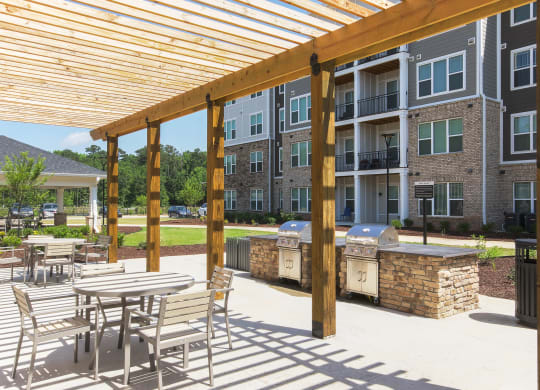 Outdoor Grills at Haven at Congaree Pointe 55+ Apartments, South Carolina, 29209