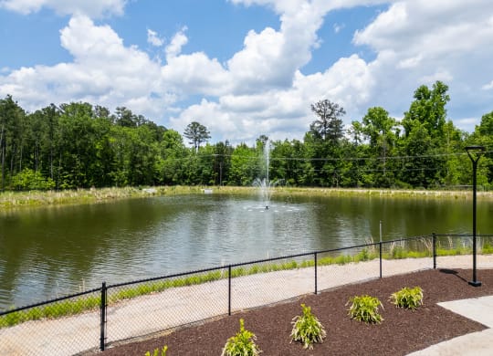 Pond View at Haven at Congaree Pointe 55+ Apartments, South Carolina, 29209