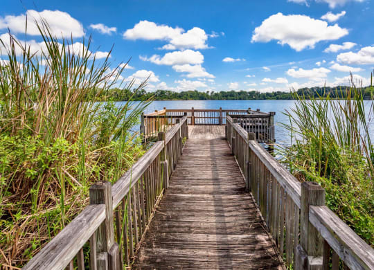 Dock