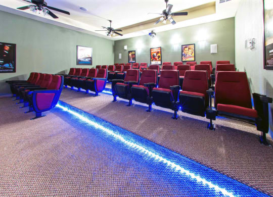 Lakeside Manor_Theater Room