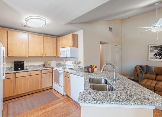 Dominium-Lakeside-Manor-Staged Vacant - Kitchen 1.jpg