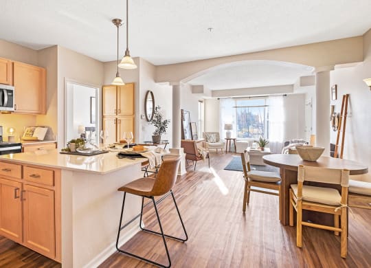 Model Apt Overview at The Landings at Silver Lake Village, St. Anthony, MN 55421