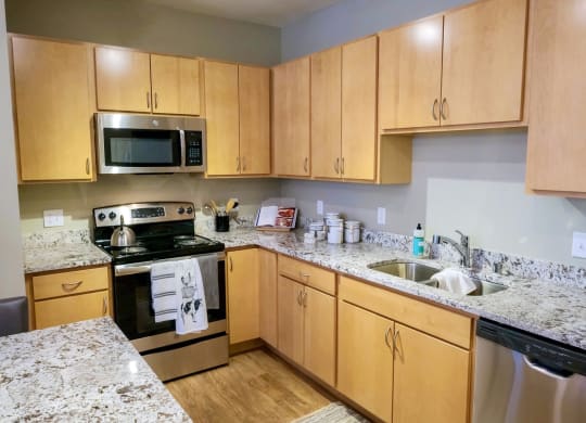 Kitchen at Landings of Lexington, Lexington, MN
