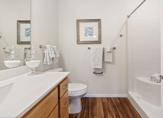 a bathroom with a toilet sink and bathtub at Legacy Commons at Signal Hills 55+ Apartments, West St. Paul, MN